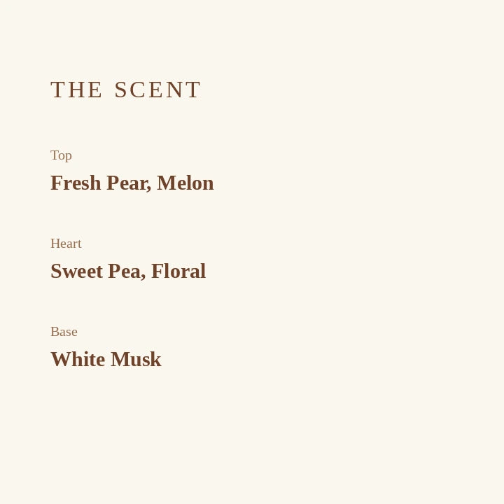 A minimalist text-based scent profile card on a warm off-white background, reading 'THE SCENT' with notes for Top (Fresh Pear, Melon), Heart (Sweet Pea, Floral), and Base (White Musk) in dark brown serif text.